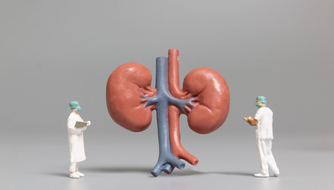 miniature-people-doctor-and-nurse-observing-and-discussing-about-human-kidneys-science-and-medical-concep